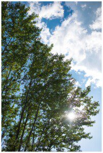 ashley lindsey photography family photographer